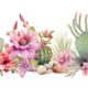 Desert Flower Cactus Border (11)
