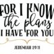 for I know the plans